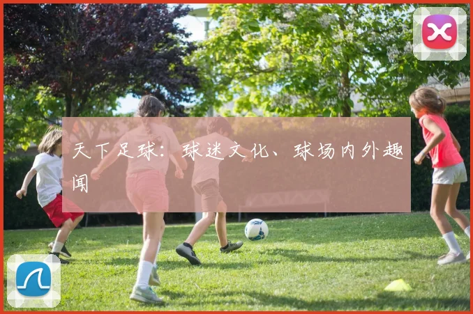 天下足球:球迷文化、球场内外趣闻