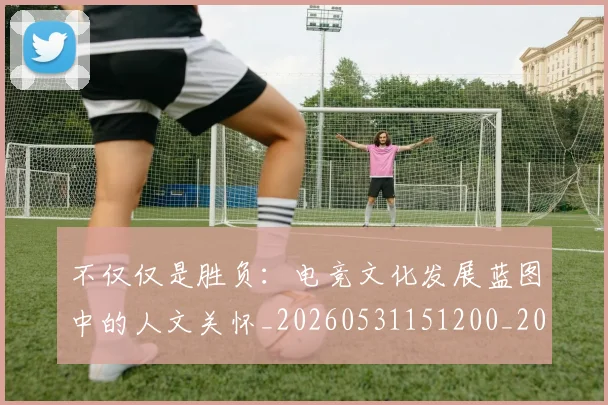 不仅仅是胜负：电竞文化发展蓝图中的人文关怀_20260531151200_20260702174351